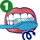 Technika szczotkowania zębów